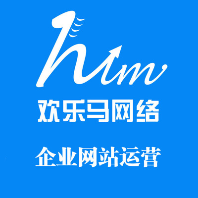 企業(yè)網(wǎng)站運營|企業(yè)網(wǎng)站運營公司-深圳歡樂馬網(wǎng)絡產(chǎn)品圖片高清大圖- 圖片庫