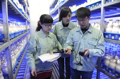 產業服務與技術推廣服務 驅動經濟高質量發展的雙引擎